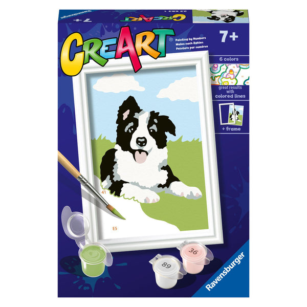 Creart SON: border collie