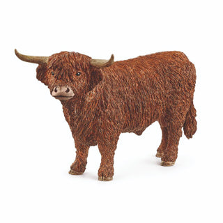 SCHLEICH Hooglandstier (13919)