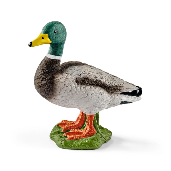 SCHLEICH Eend (13824)