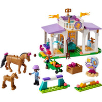 LEGO  Friends 41746 Paardentraining