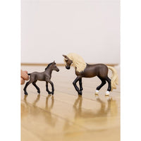 Schleich 13954 Paso Peruano Foal