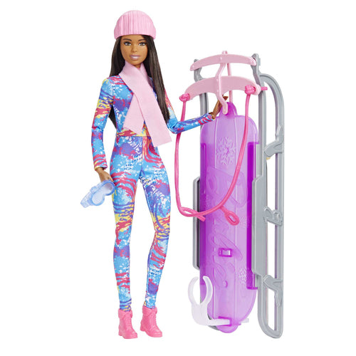 Barbie HGM74 pop met accessoires